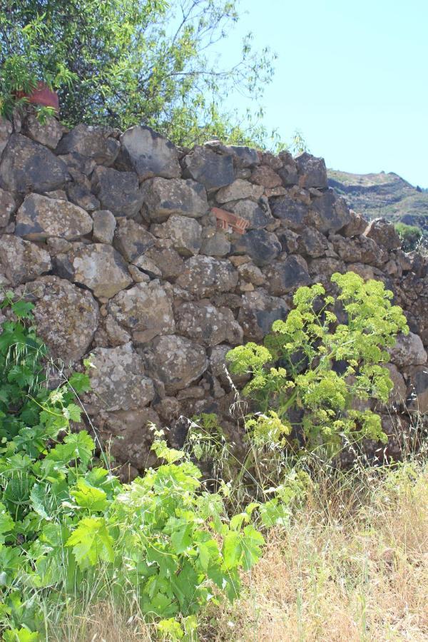 Tejeda Parque Rural El Nublo *