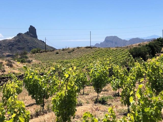 Tejeda Parque Rural El Nublo Сasa de vacaciones *