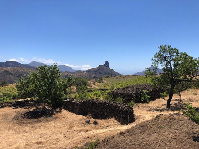 Tejeda Parque Rural El Nublo
