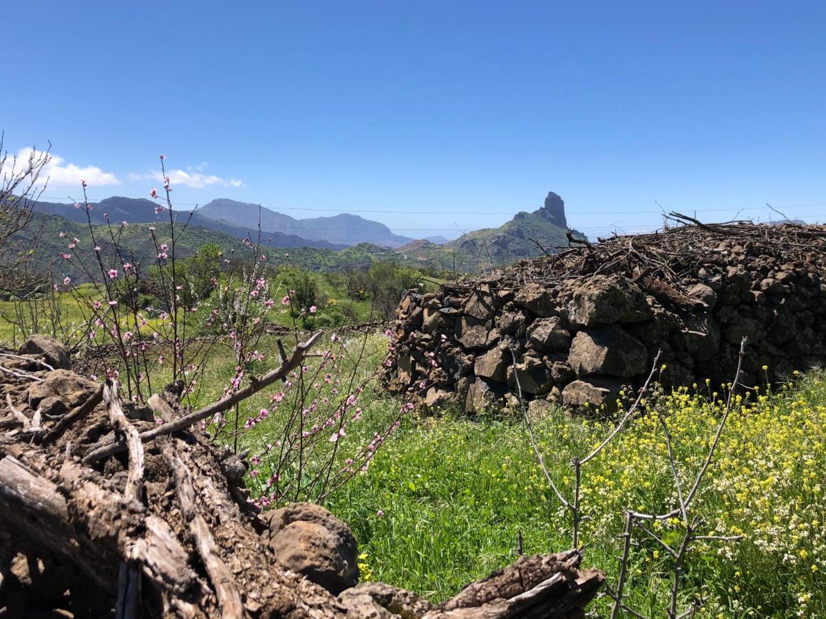 Tejeda Parque Rural El Nublo Las Palmas de Gran Canaria