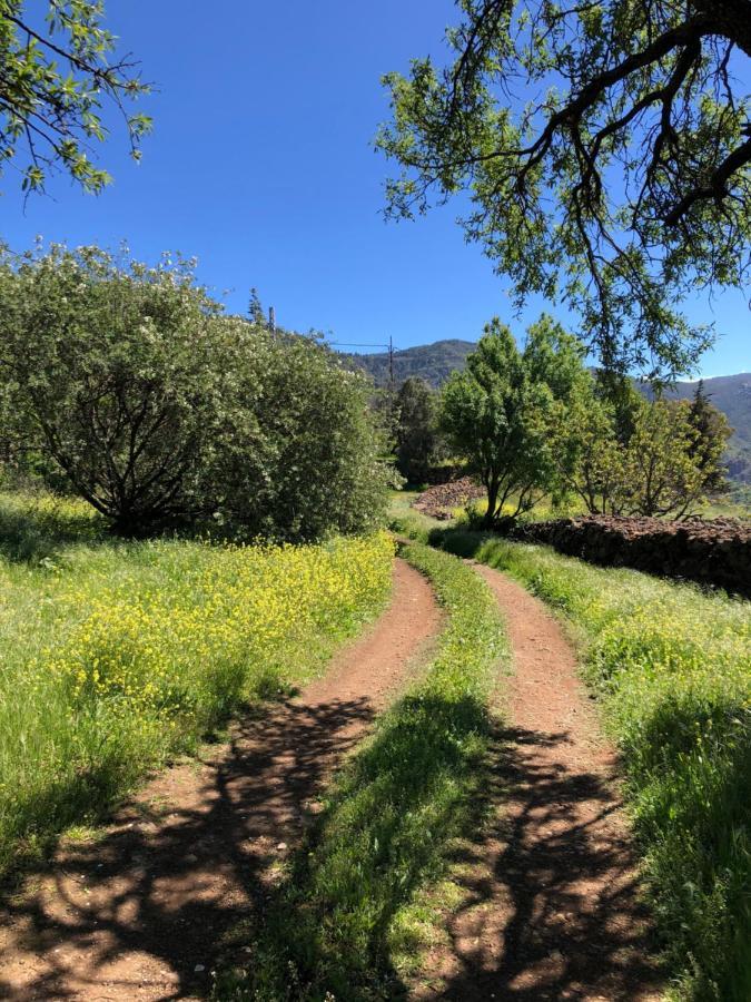Tejeda Parque Rural El Nublo Las Palmas de Gran Canaria